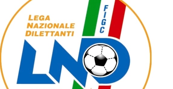 Serie D, i criteri per l’ammissione al campionato. Da quest’anno compilazione della modulistica con il sistema on line