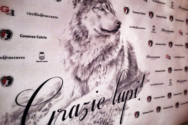 Guarascio: “Il Cosenza Calcio? Una malattia che non va più via”