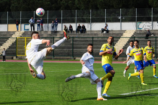 Ischia-Cosenza, i precedenti
