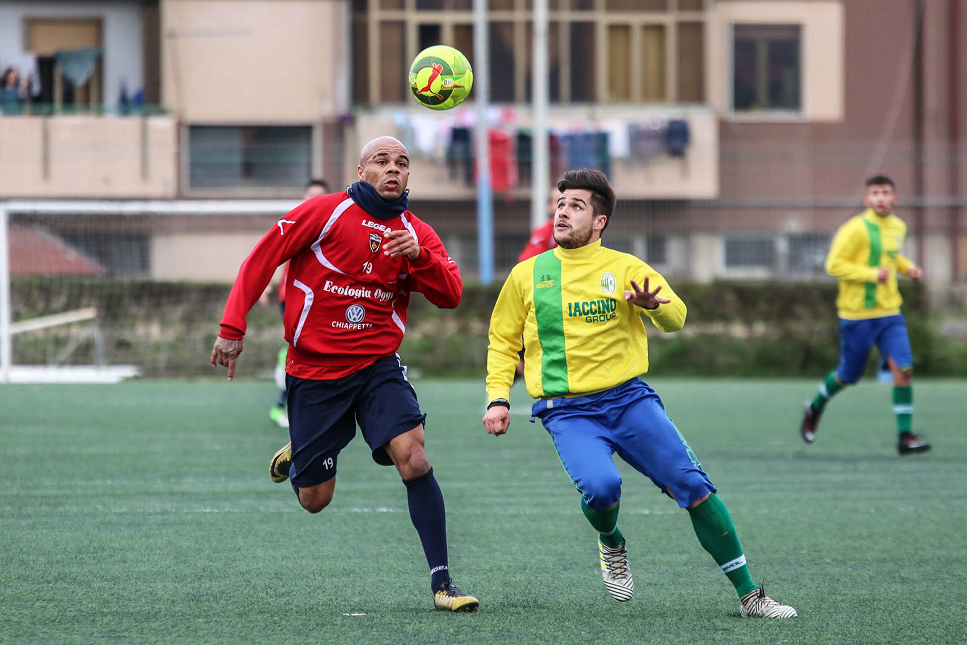 Lupi in campo col Roggiano