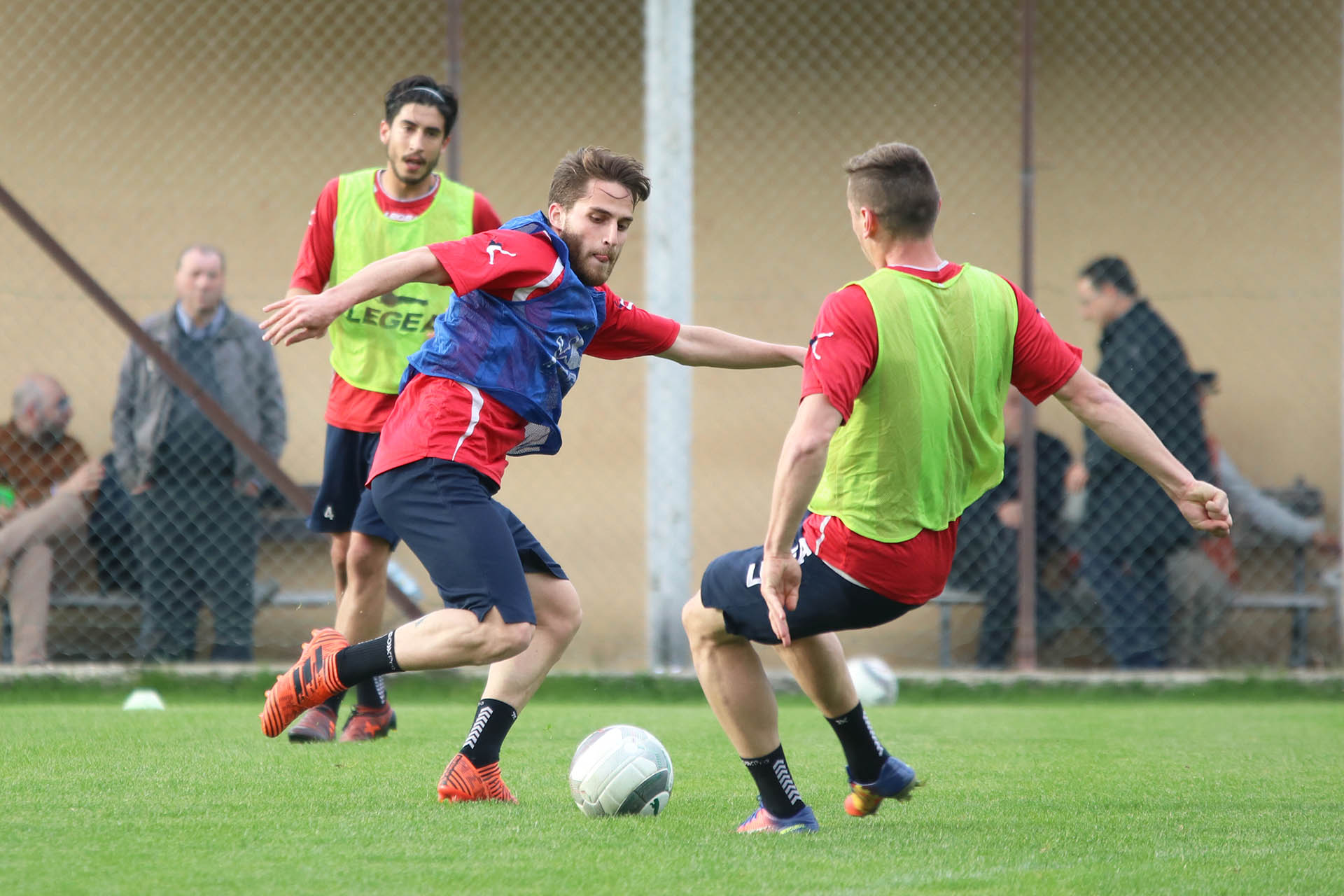 Lupi al lavoro in vista del derby