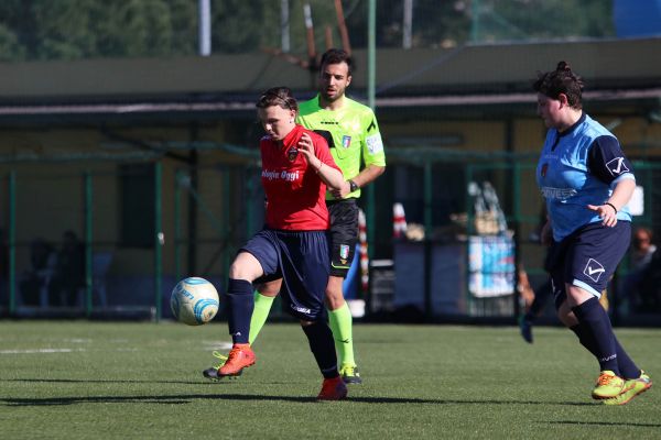 Lupe in grande spolvero, 12 reti al Picerno