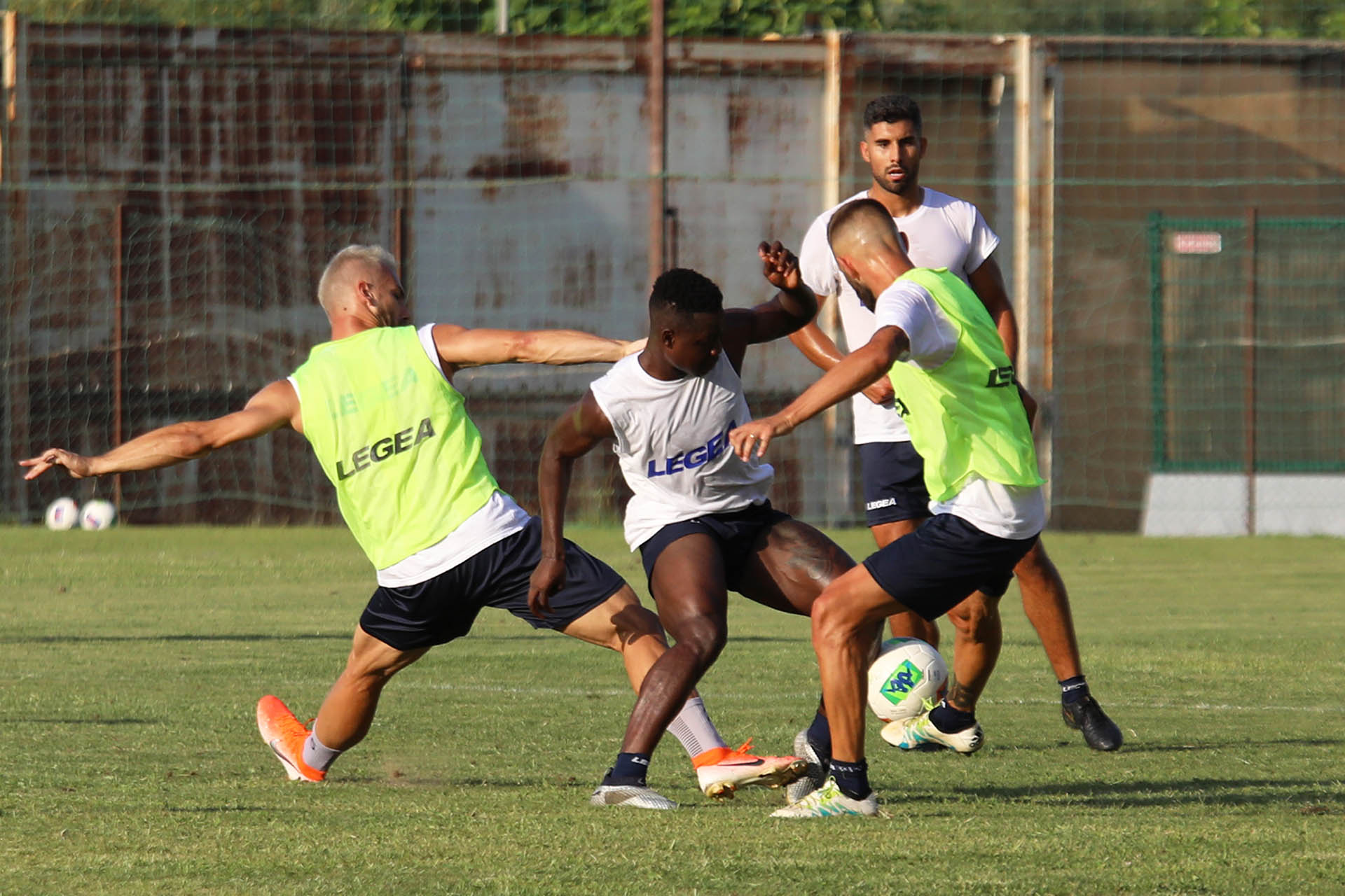 I Lupi tornano ad allenarsi