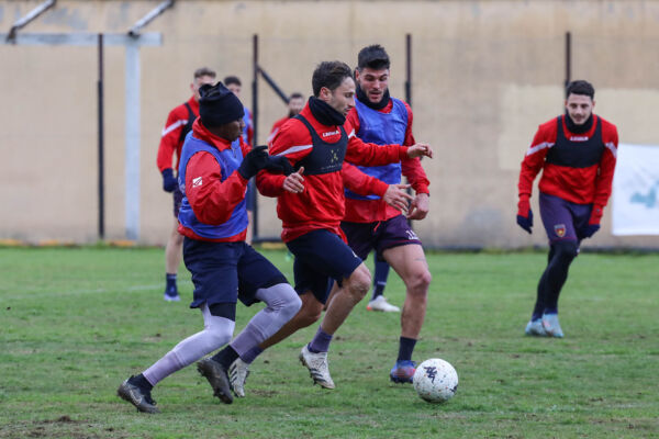 Lupi Live – Allenamento dell’8 marzo 2022