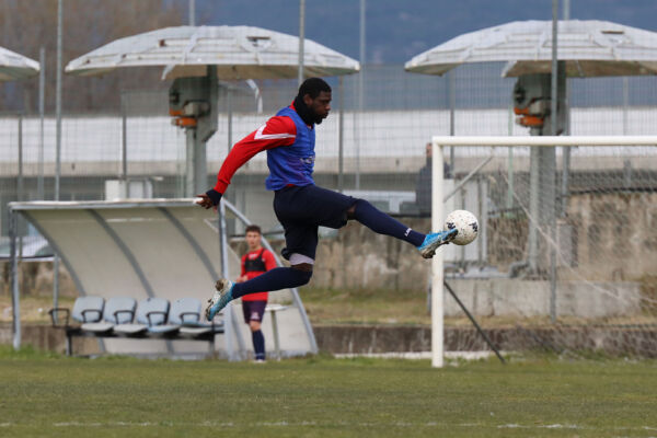 Lupi Live 🐺 Allenamento del 10 marzo 2022. Domani parla Alessandro Di Pardo.