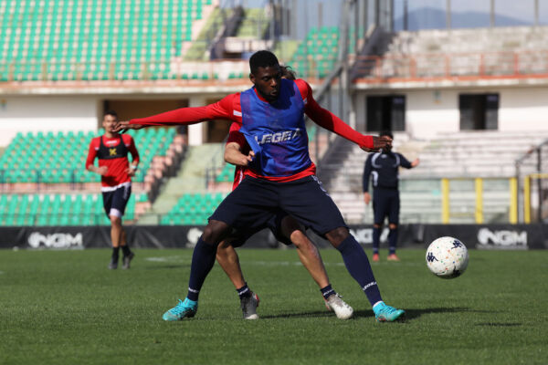 Lupi Live 🐺 Allenamento del 29 marzo 2022