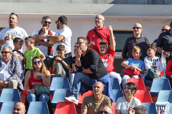 Il tifo di Cosenza – Frosinone