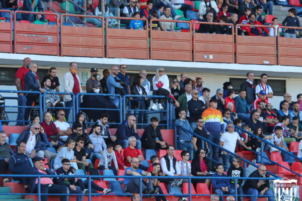 Il tifo di Cosenza – Frosinone
