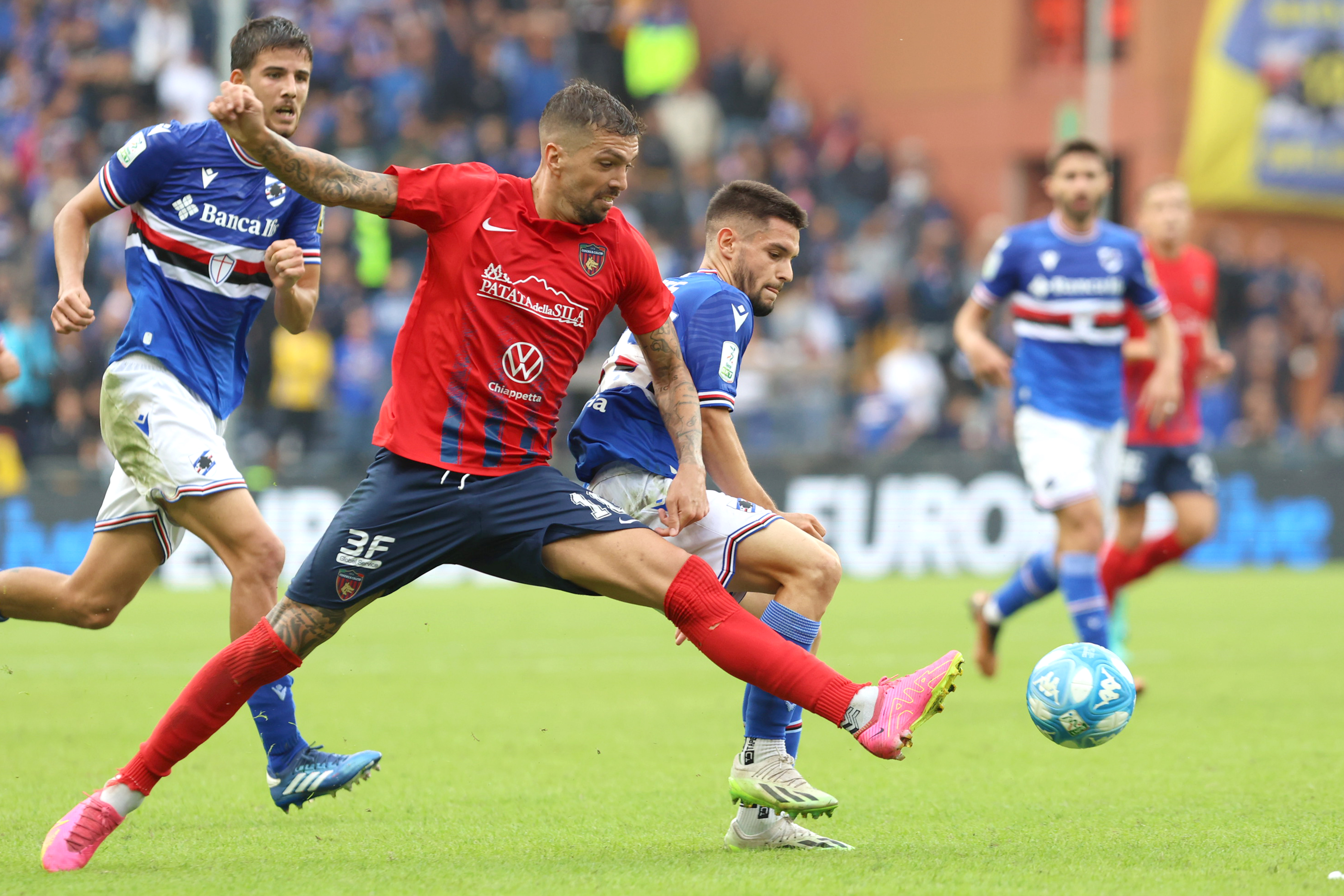 🏟 Sampdoria – Cosenza 2-0