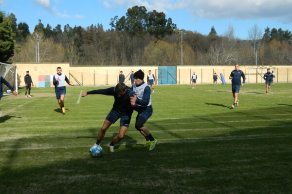 🔴🔵 Il report della ripresa, domani seduta pomeridiana a porte aperte