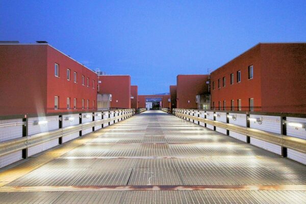 🐺 Dall’Unical al Cosenza Calcio, stage formativi in comunicazione e marketing.