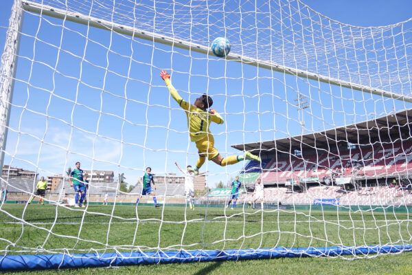 🏟 Feralpisalò – Cosenza 2-2