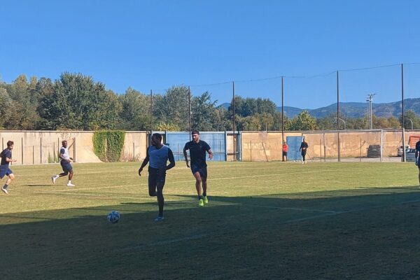 🔴🔵 Allenamento mattutino. Il report.