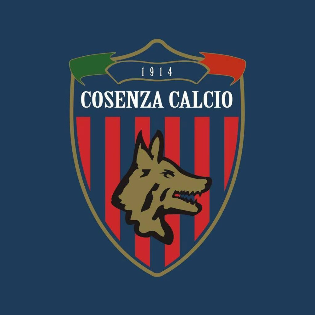 commerciale cosenza